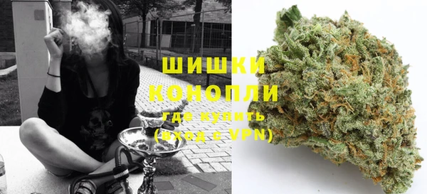 прущие грибы Абинск